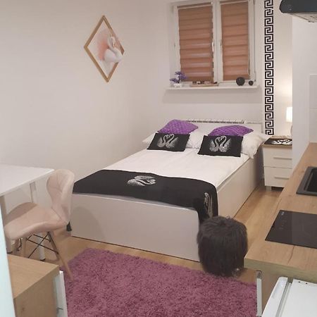 Apartamenty Centrum Panoramiczna Mala Dwojka Swan Labedz Promenada Klimatyzacja Lodowa Kielce Exterior photo