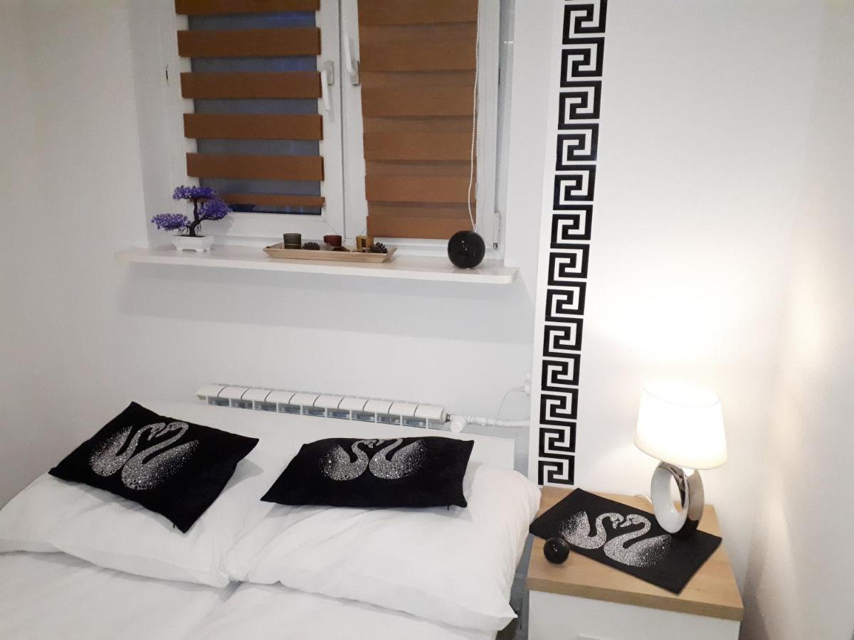 Apartamenty Centrum Panoramiczna Mala Dwojka Swan Labedz Promenada Klimatyzacja Lodowa Kielce Exterior photo