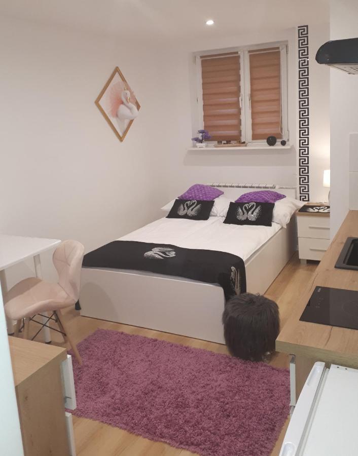 Apartamenty Centrum Panoramiczna Mala Dwojka Swan Labedz Promenada Klimatyzacja Lodowa Kielce Exterior photo