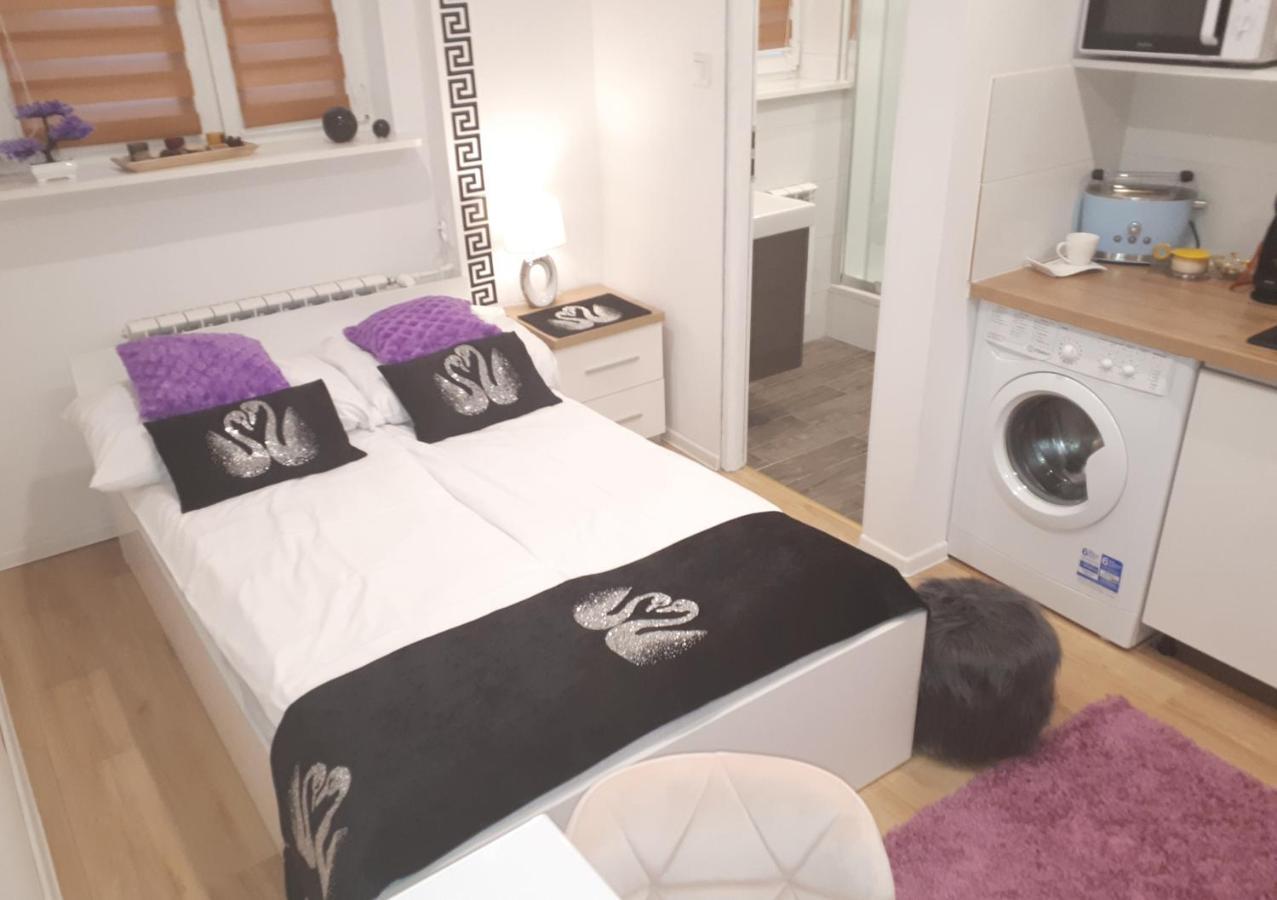 Apartamenty Centrum Panoramiczna Mala Dwojka Swan Labedz Promenada Klimatyzacja Lodowa Kielce Exterior photo