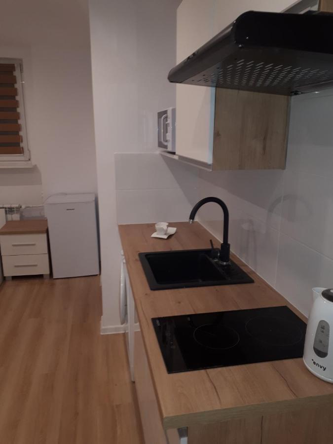 Apartamenty Centrum Panoramiczna Mala Dwojka Swan Labedz Promenada Klimatyzacja Lodowa Kielce Exterior photo